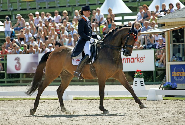 Christa Laarakkers Dressage Rider